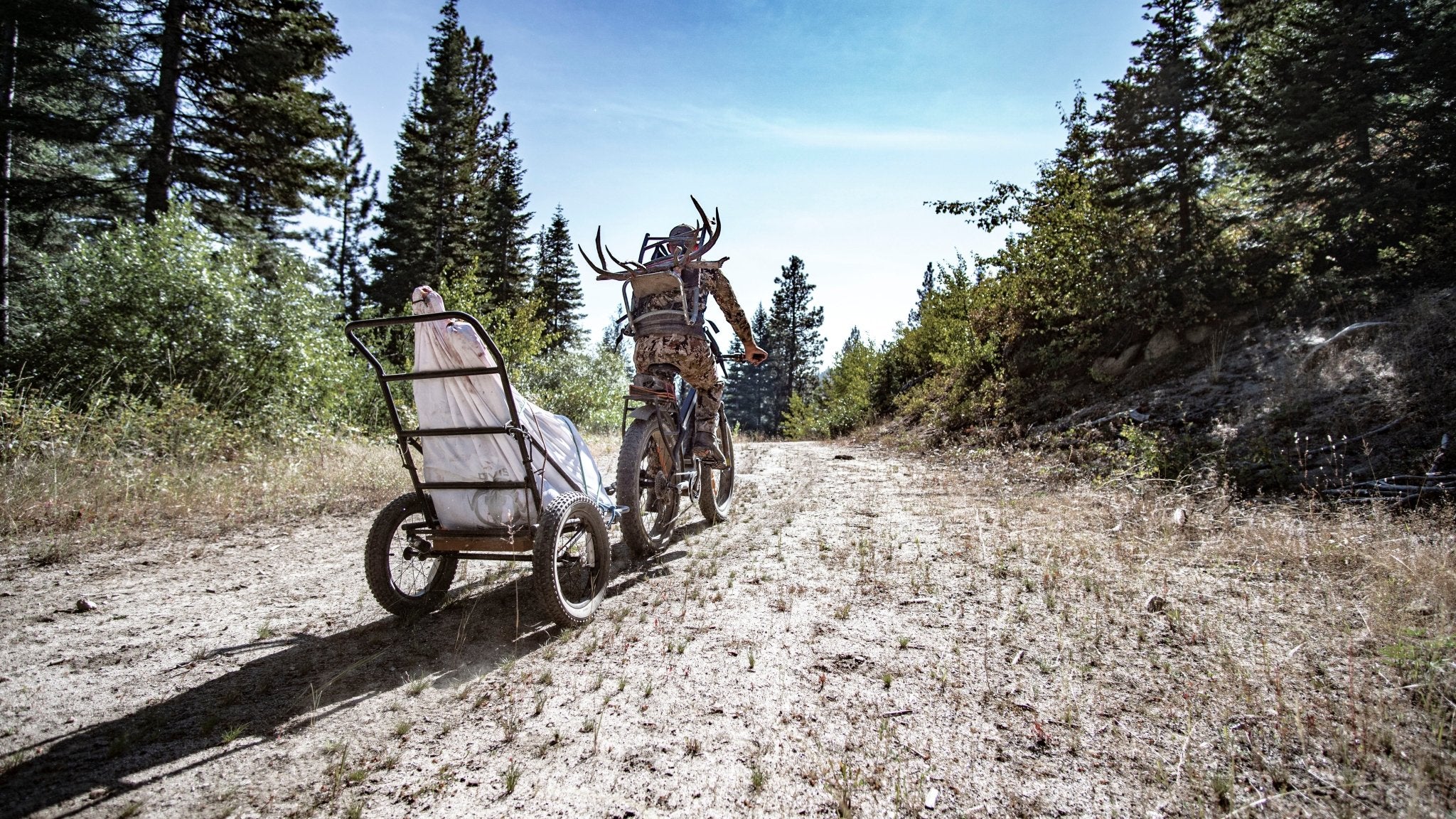 Electric Bike Trailers – Choosing the Best Trailer for Your Needs - Bakcou