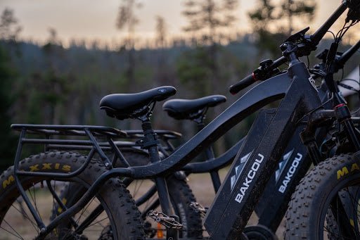 Tax Credits: A Surprising Reason to Buy an eBike - Bakcou