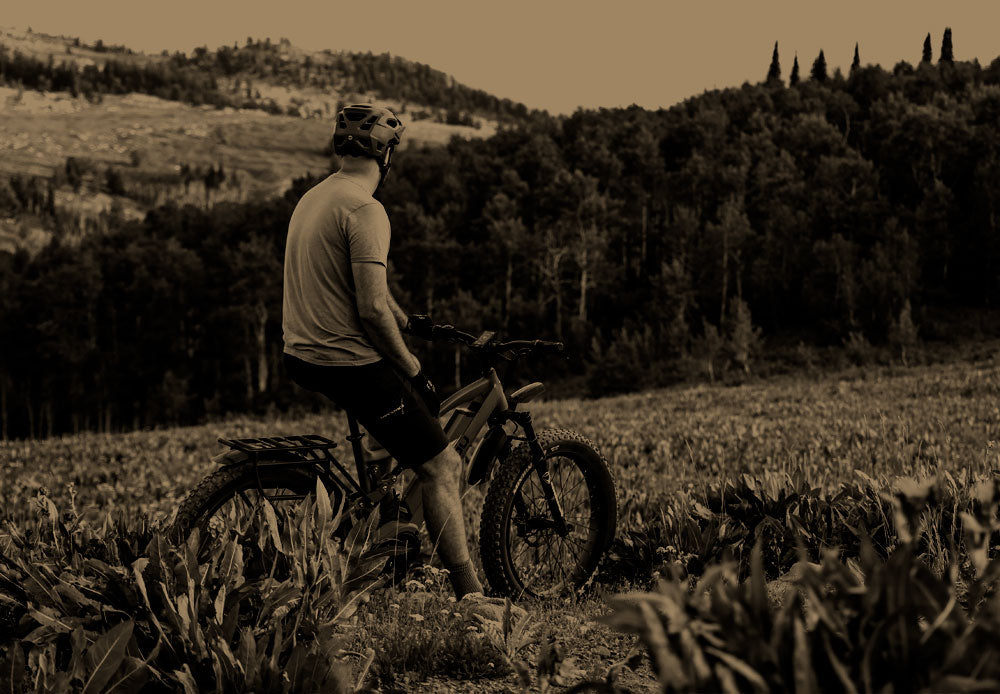 A man admiring a forest mounting view on an eBike sepia tone