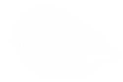 Top features