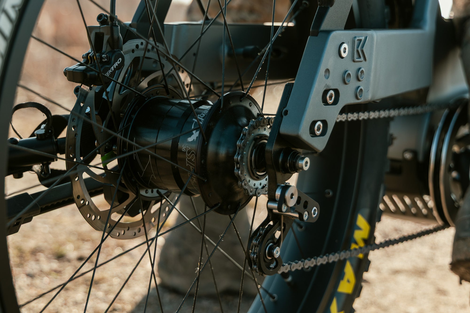 Close up of Rohloff hub on a Bakcou Mule JÄGER SD eBike