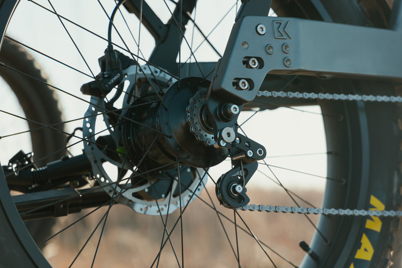 Close up of Bakcou's Rohloff JÄGER eBike gearing system.
