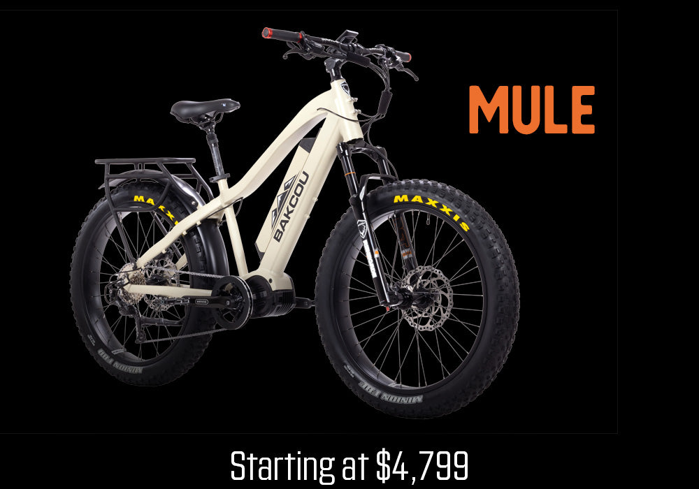 Mule electric bike