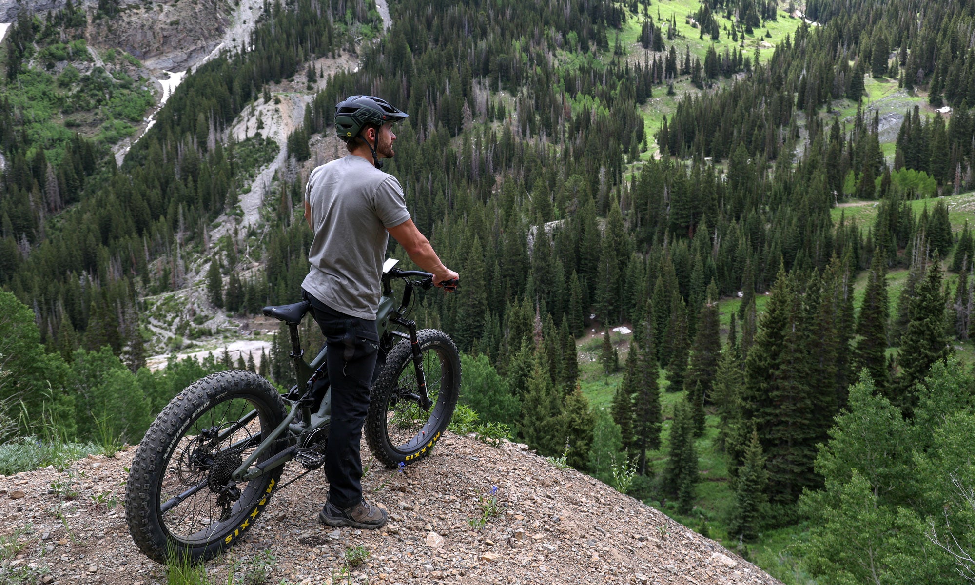 Man on a eBike looking into a valley of trees