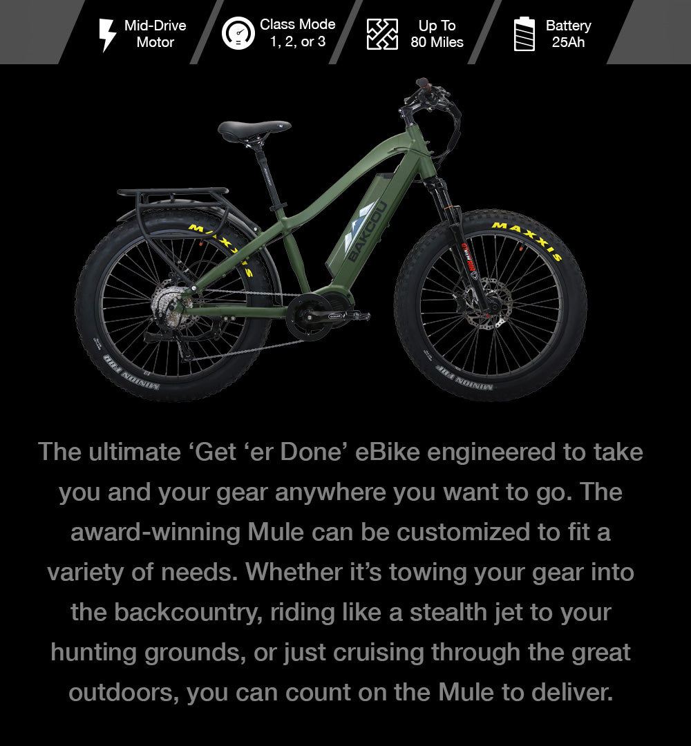 Mule Backcountry eBike Bakcou