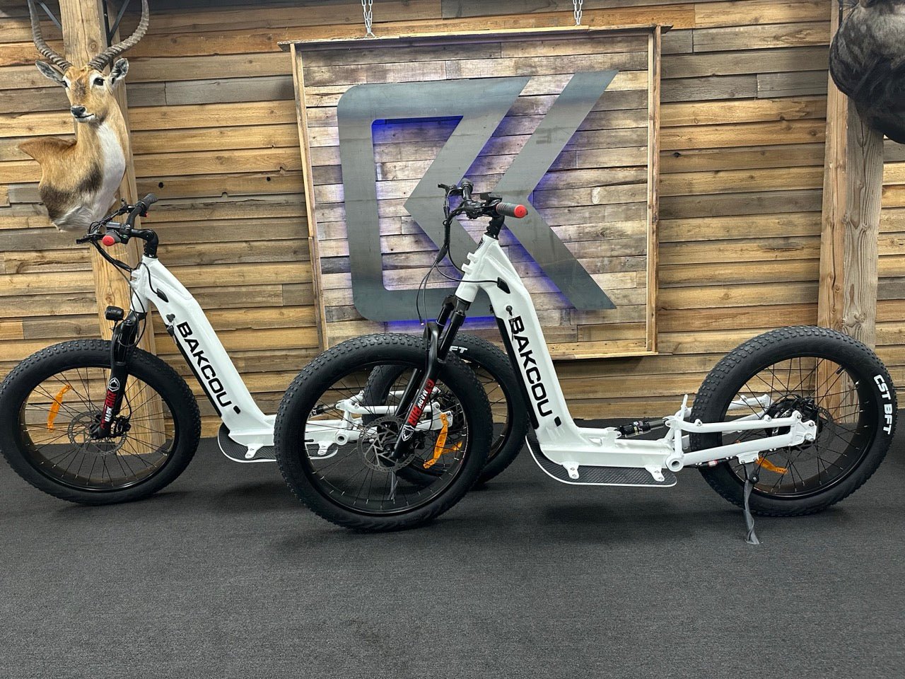Grizzly / Gloss White / 21ah / 0105 - Bakcou