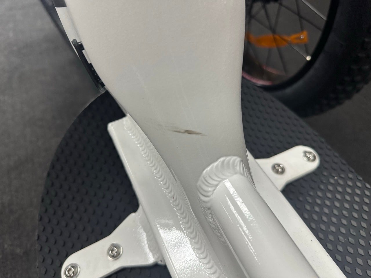 Grizzly / Gloss White / 21ah / 0105 - Bakcou